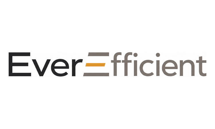 Available Business Name For Sale - EverEfficient